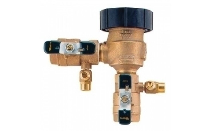 Watts 800M4FR 1-1/2" Vacuum Breaker with Freeze Protection